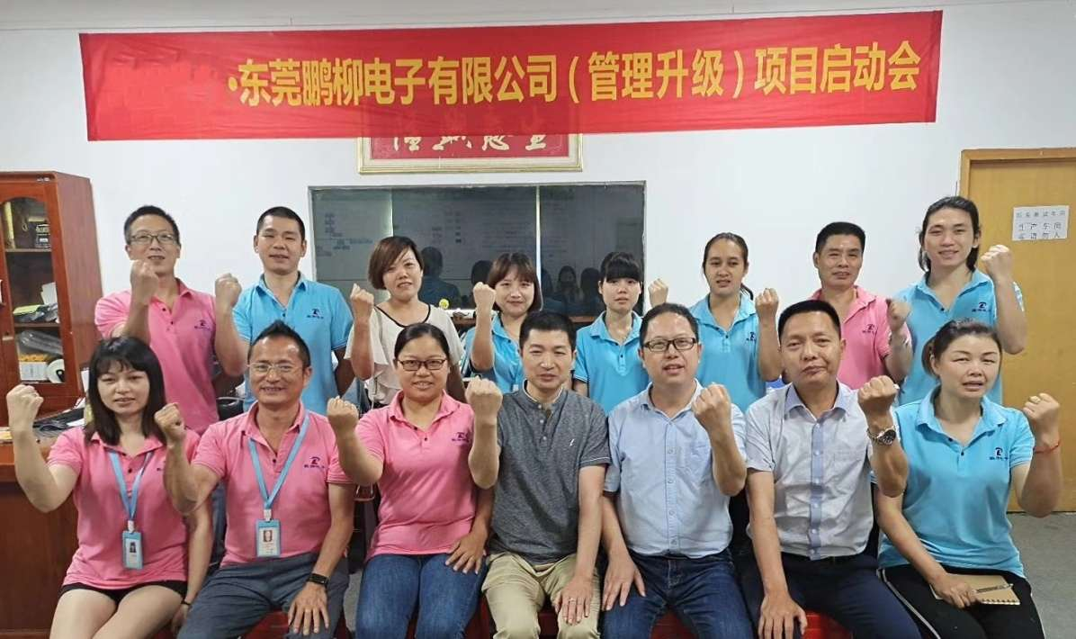 东莞市鹏柳电子科技有限公司