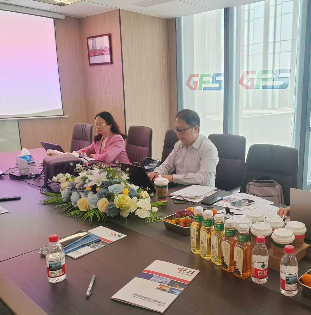 鹏远国际货代项目诊断